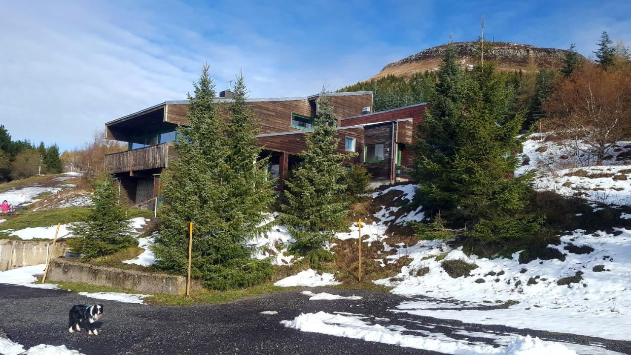 Terre De * Super Besse